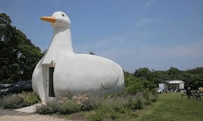 The Bid Duck