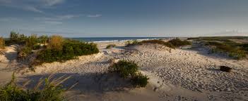 Assateague Island III