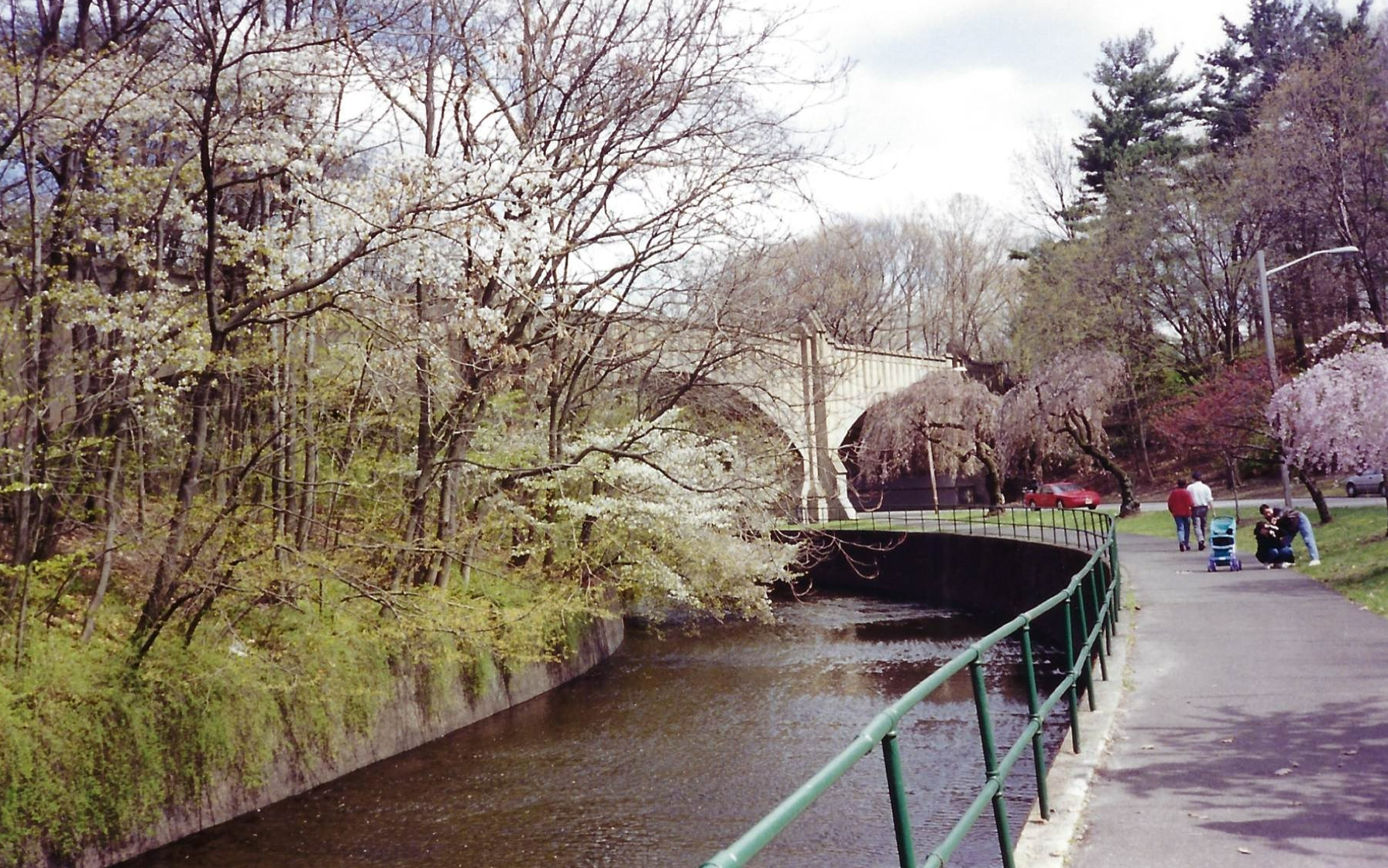 Cherry Blossom NWK I