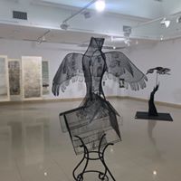 Gallery Bergen Birds II