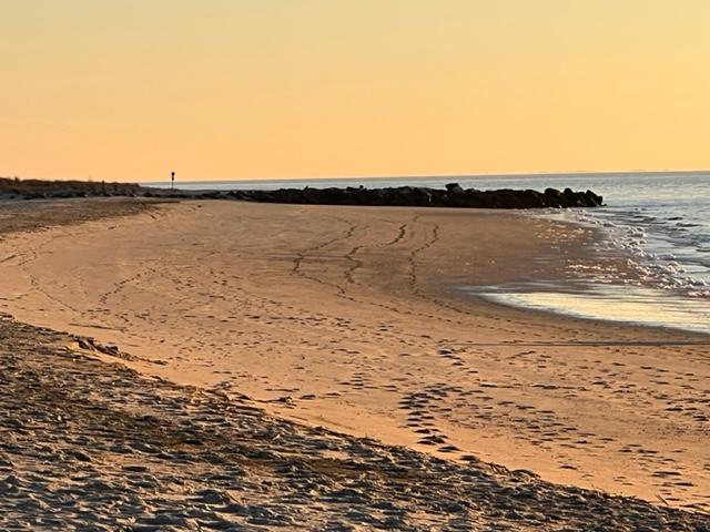 Sunset Beach 502 Sunset Boulevard Lower Township, NJ 08212