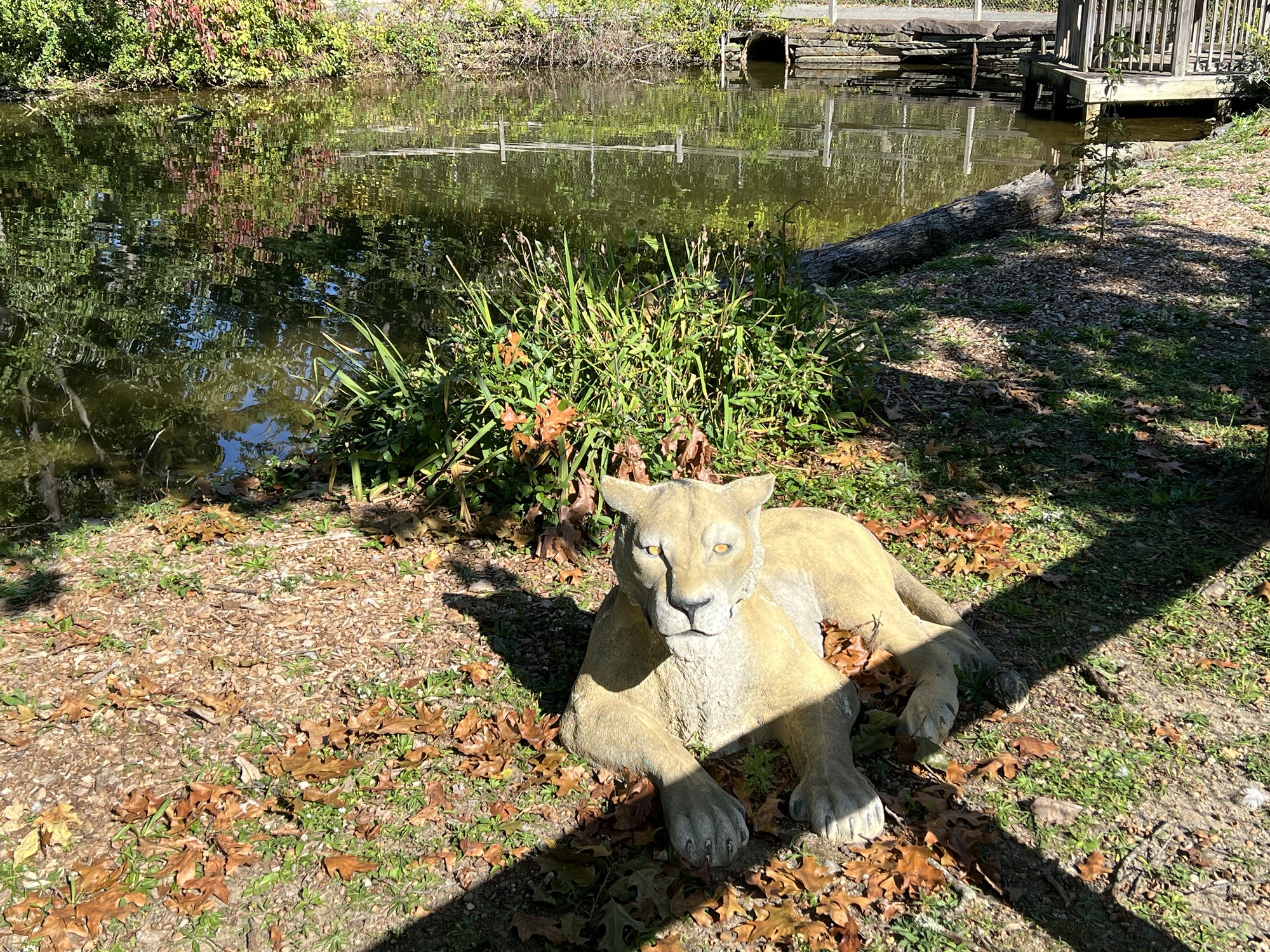 Cohanzick Zoo Mayor Aitken Drive Bridgeton, NJ 08302 – Visiting a
