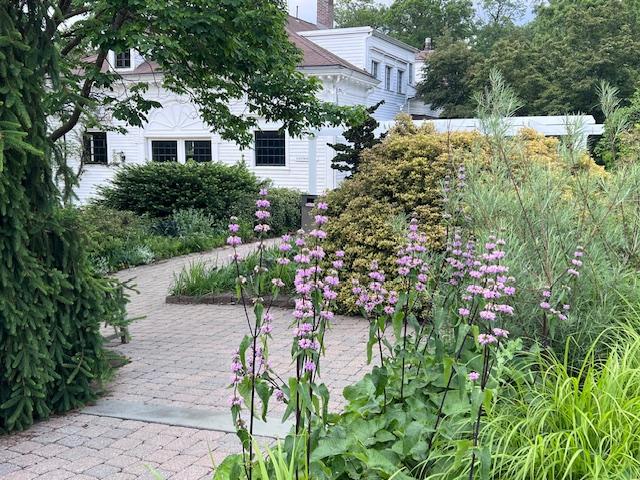 Frelinghuysen Arboretum                                          53 East Hanover Avenue                                            Morristown, NJ&nbsp;07962