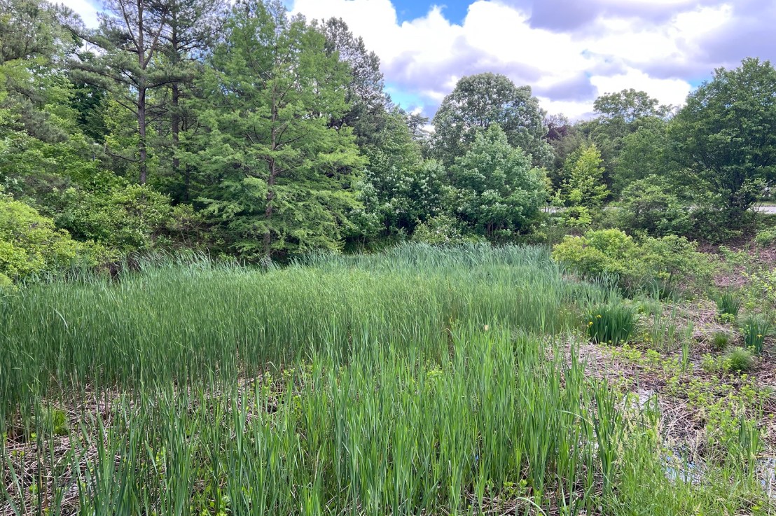 John Burrough’s Slabsides and Nature Sanctuary                                          500 Burroughs Drive                                                           West Park, NY&nbsp;12493