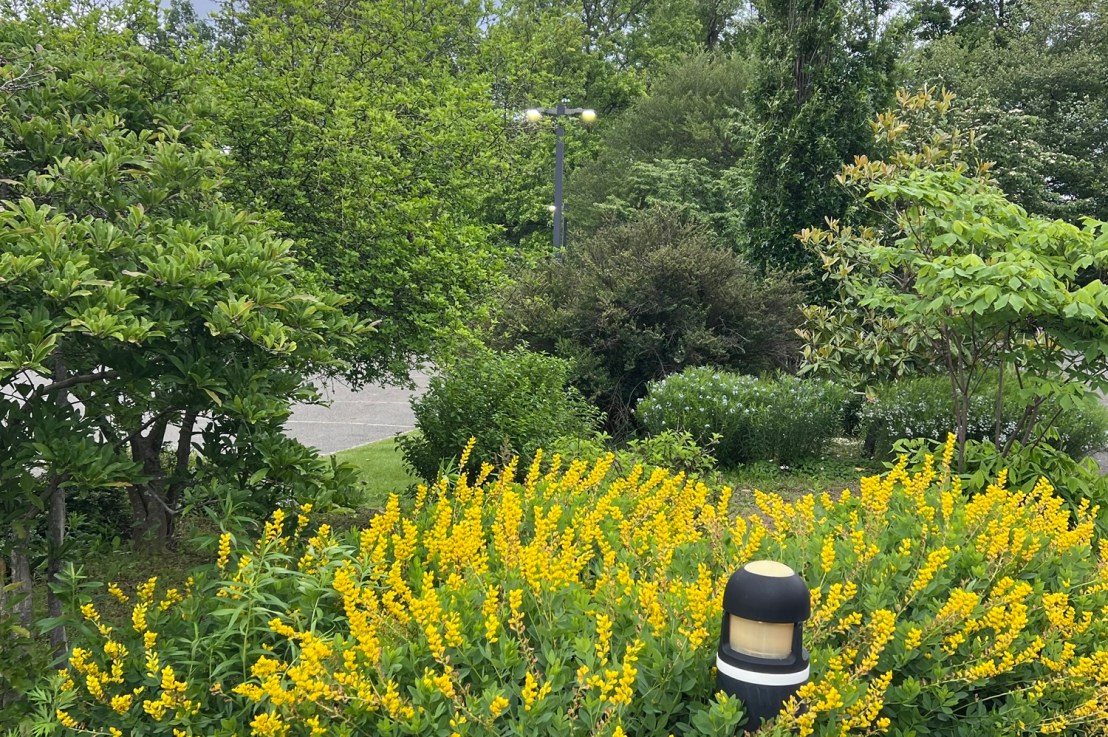 The Garrett Family Preserve at Cape Island Creek 801 Wilson Avenue                                                       Cape May, NJ&nbsp;07204