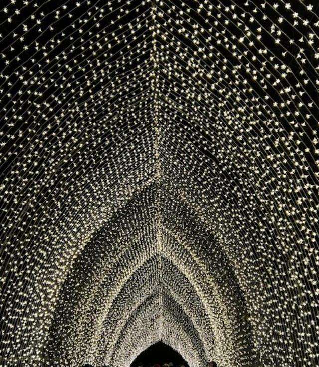 Day Three-Hundred and Seventy-Three Walking through the Light show at the Brooklyn Botanic Garden                                                                         January 4th,&nbsp;2026